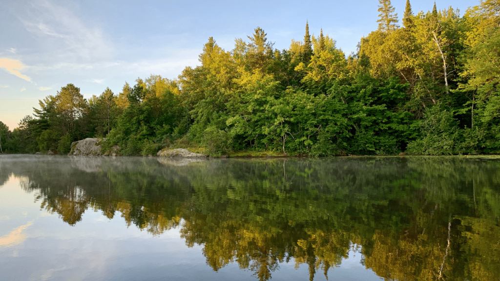Summer Lake in Minnesota